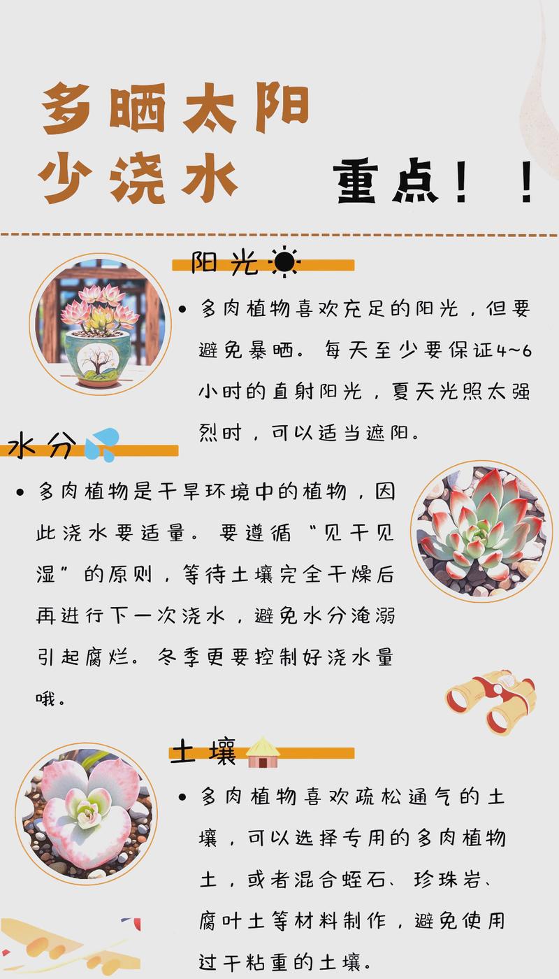 不起眼的小细节,才是养护的关键
