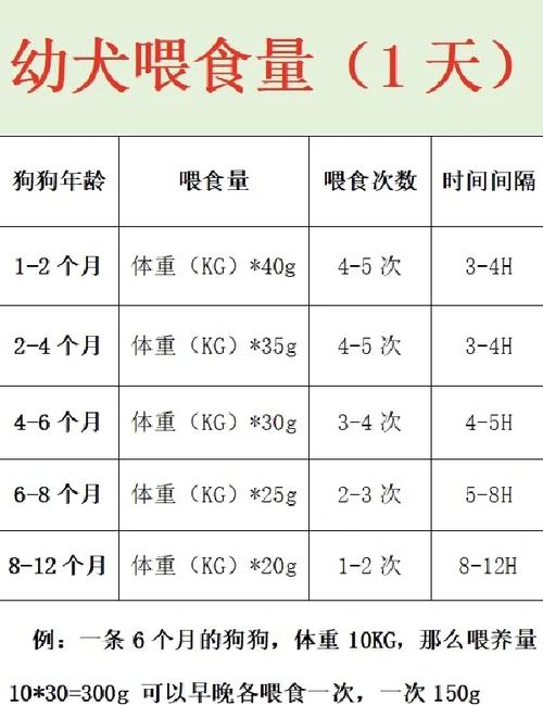 喂食量算不准?用这几个傻瓜方法
