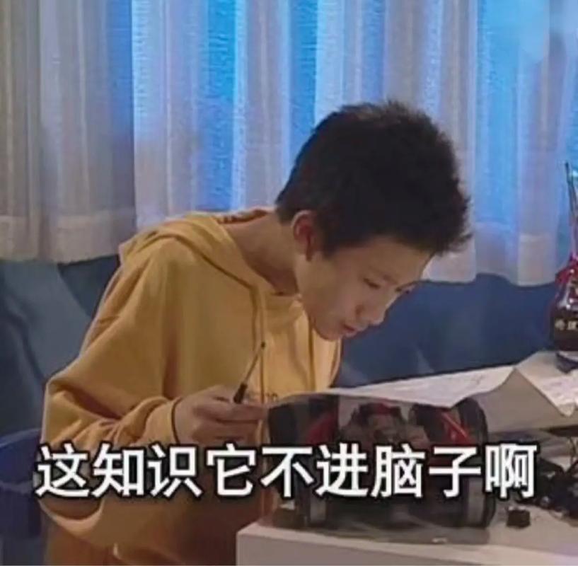 深度学习训练中NaN错误导致的困惑表情包