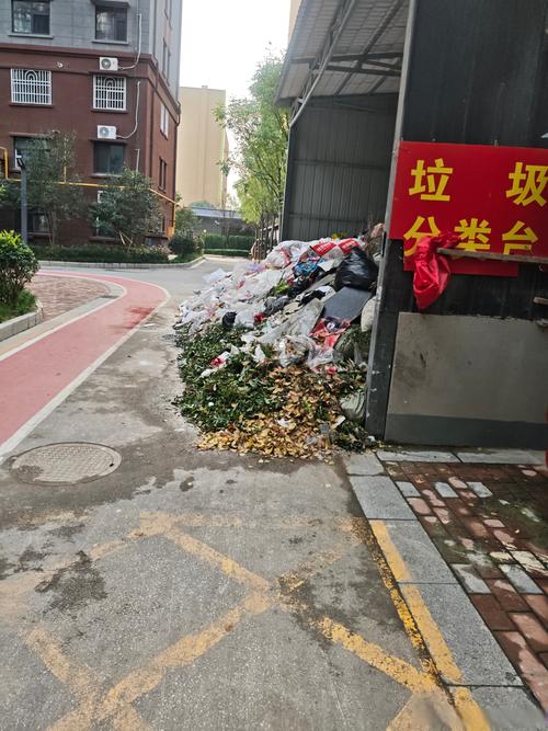 业主拍摄小区堆积垃圾留证手机照片