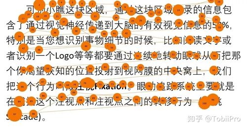普通人阅读眼动轨迹示意图