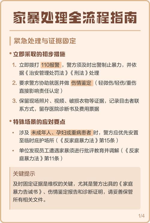 涉家暴案件证据固定流程指引图