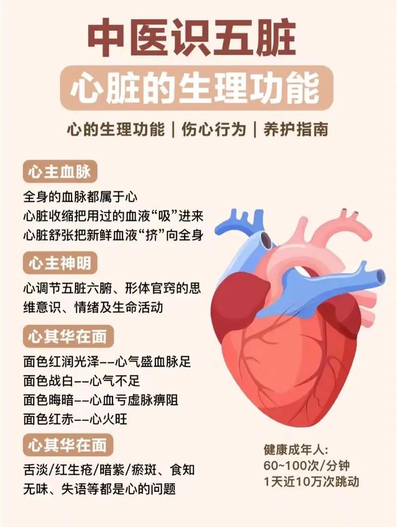 第一步：先搞清楚你的“心脏”需要什么体质