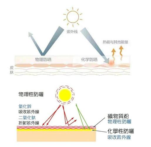 日晒防护紫外线穿透皮肤层次示意图