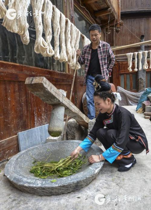 肇兴侗寨阿婆手工揉乌饭树叶陶缸