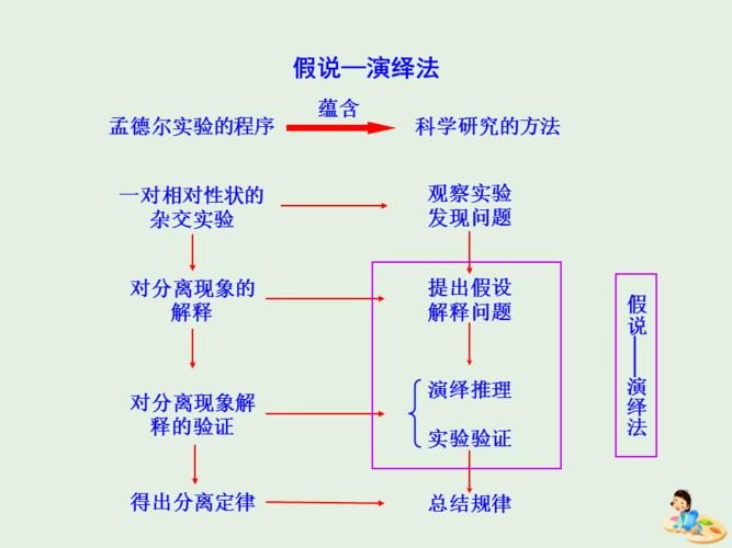高中生物假说演绎法推理路径示意图