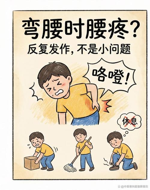长时间弯腰做家务腰部肌肉紧张示意图