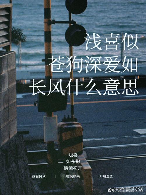 四、主观吐槽与深爱