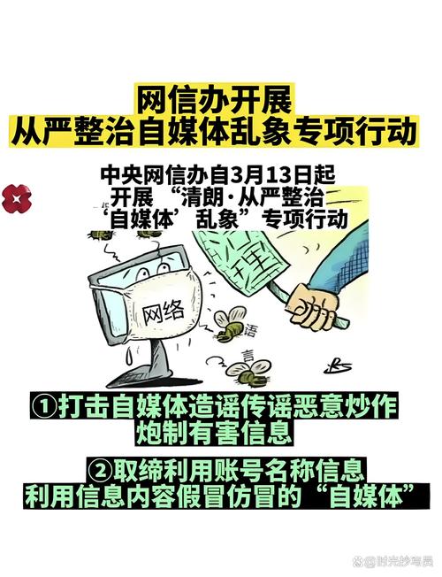 网络不实信息验证流程示意图