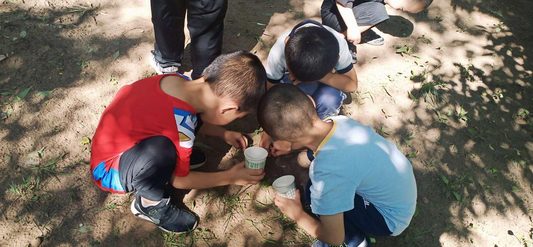 儿童和家长在厂区防护林观察蚂蚁搬食物照片