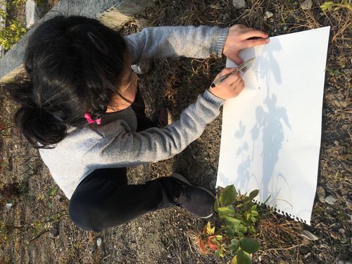 小学生户外树荫下画影子日记实拍
