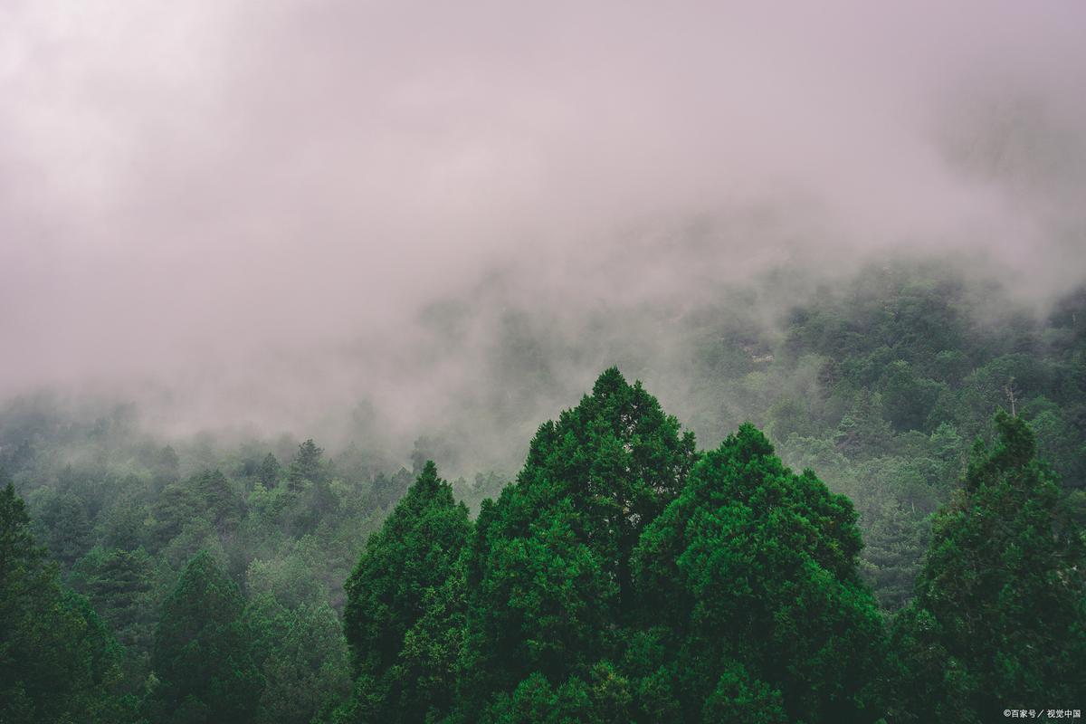 黔灵山晨雾