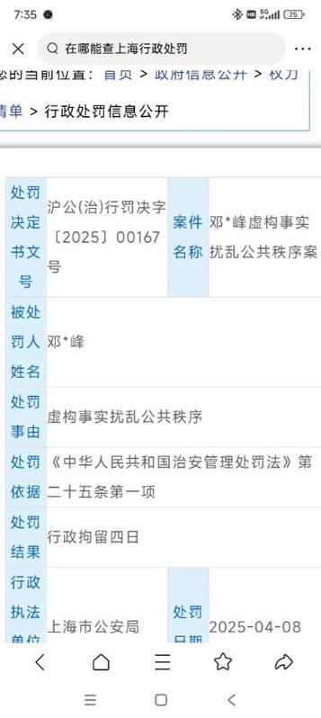 全国公安机关治安处罚记录查询界面