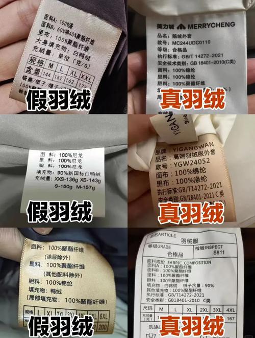 不同区域羽绒服搜索关键词差异对比图