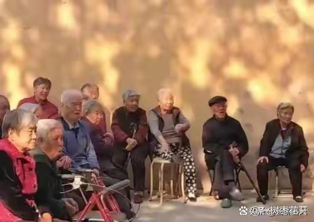 给老头老太太们说仨明天就能用的招