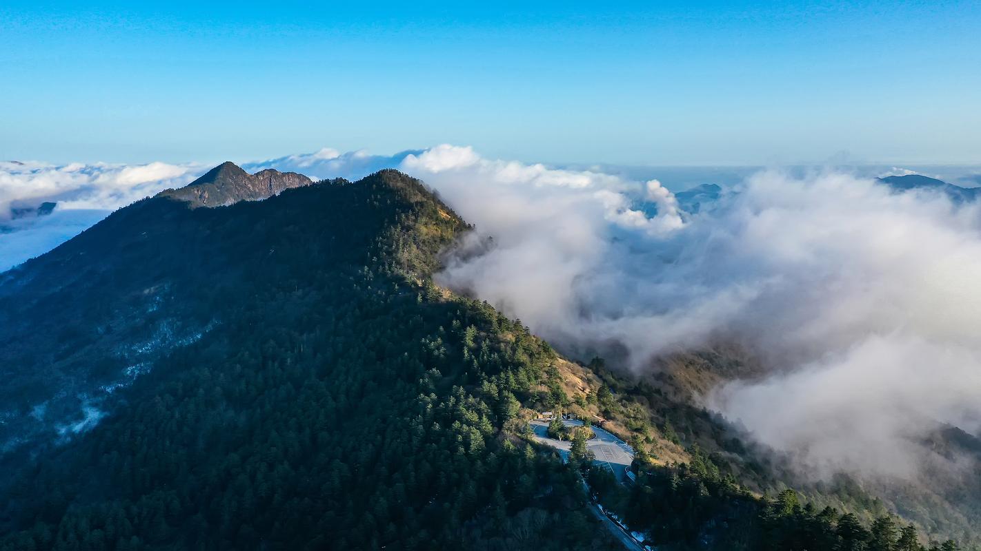 神农架神农顶高山草甸云海