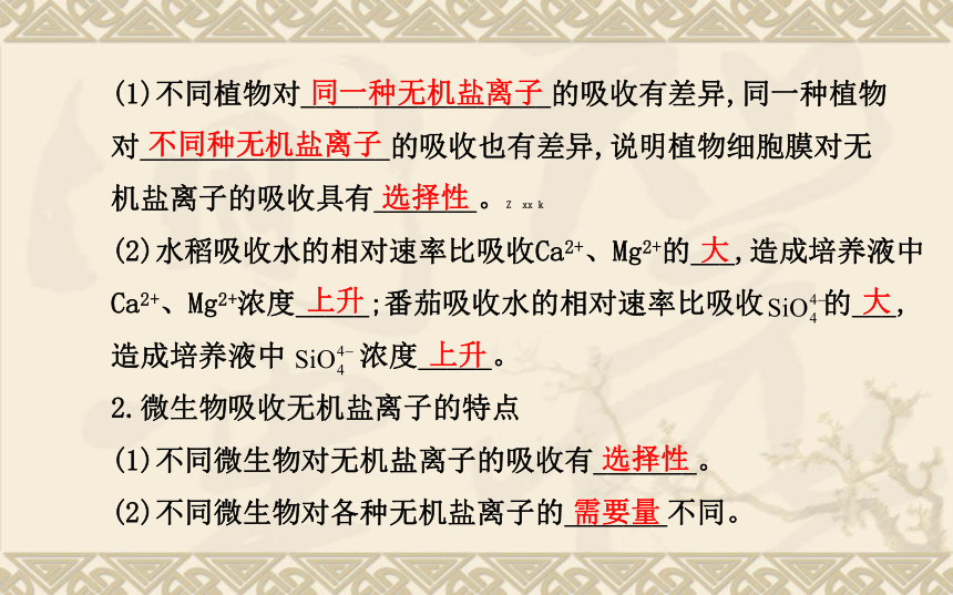 用个实例收个尾吧