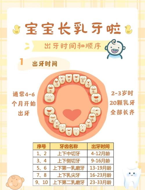 家长蹲在儿童牙科诊室外手里攥着打印的乳牙萌出顺序表