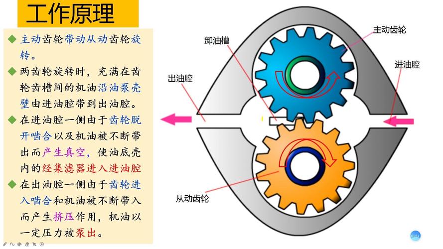 外啮合齿轮泵困油卸荷槽结构示意图
