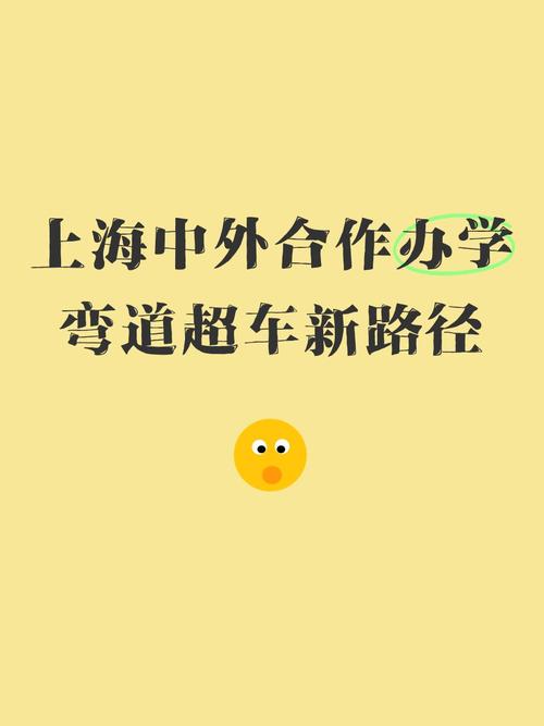 中外合作办学：弯道超车，还是弯道翻车？