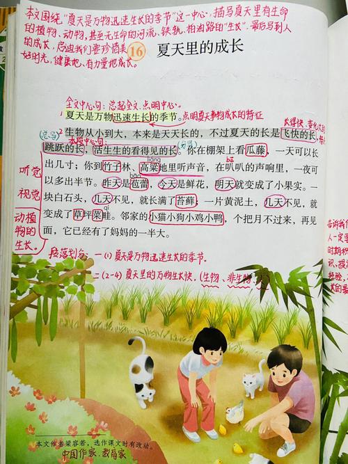 那些藏在语法坎里的成长小秘密