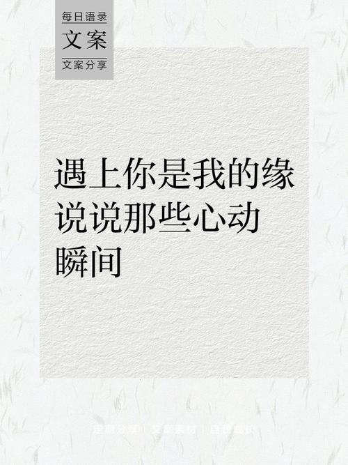 真遇上了你该做什么