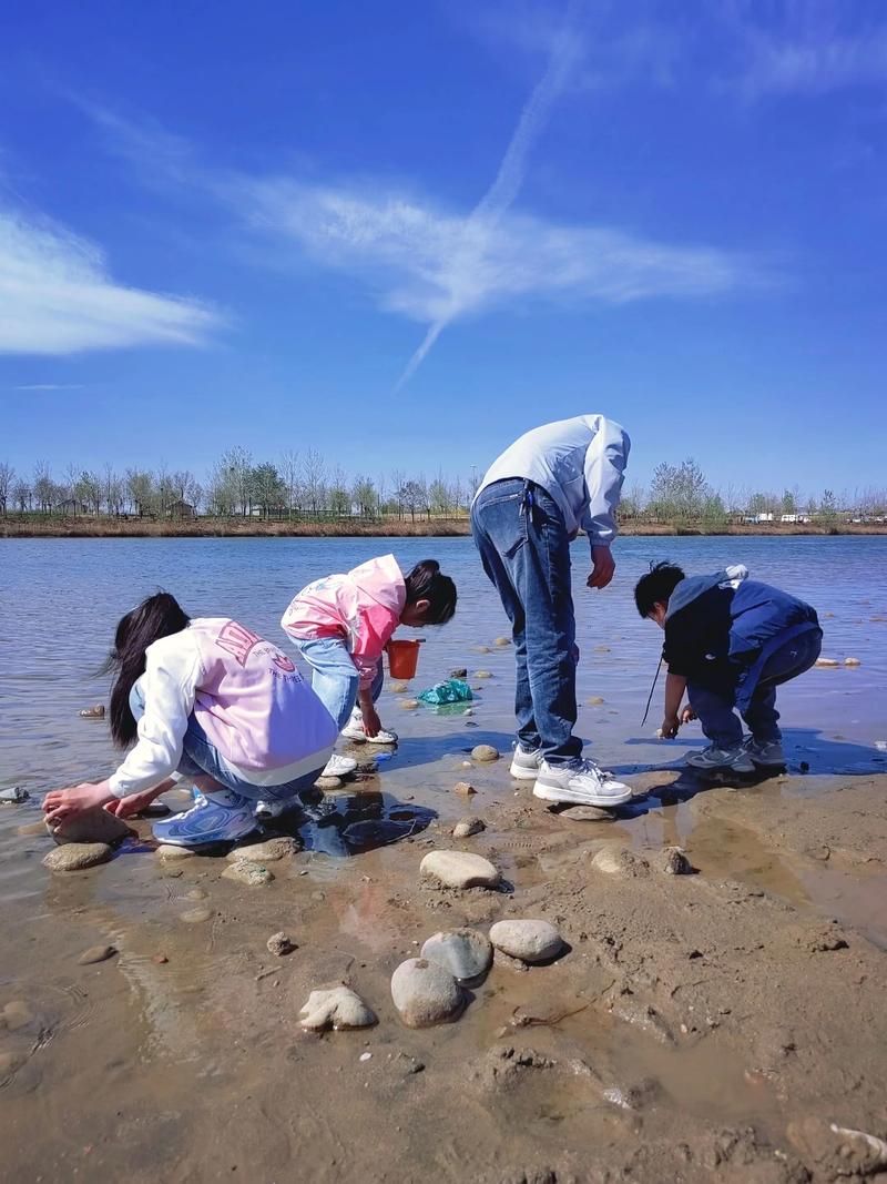 校园湿地生态池学生捞水草场景