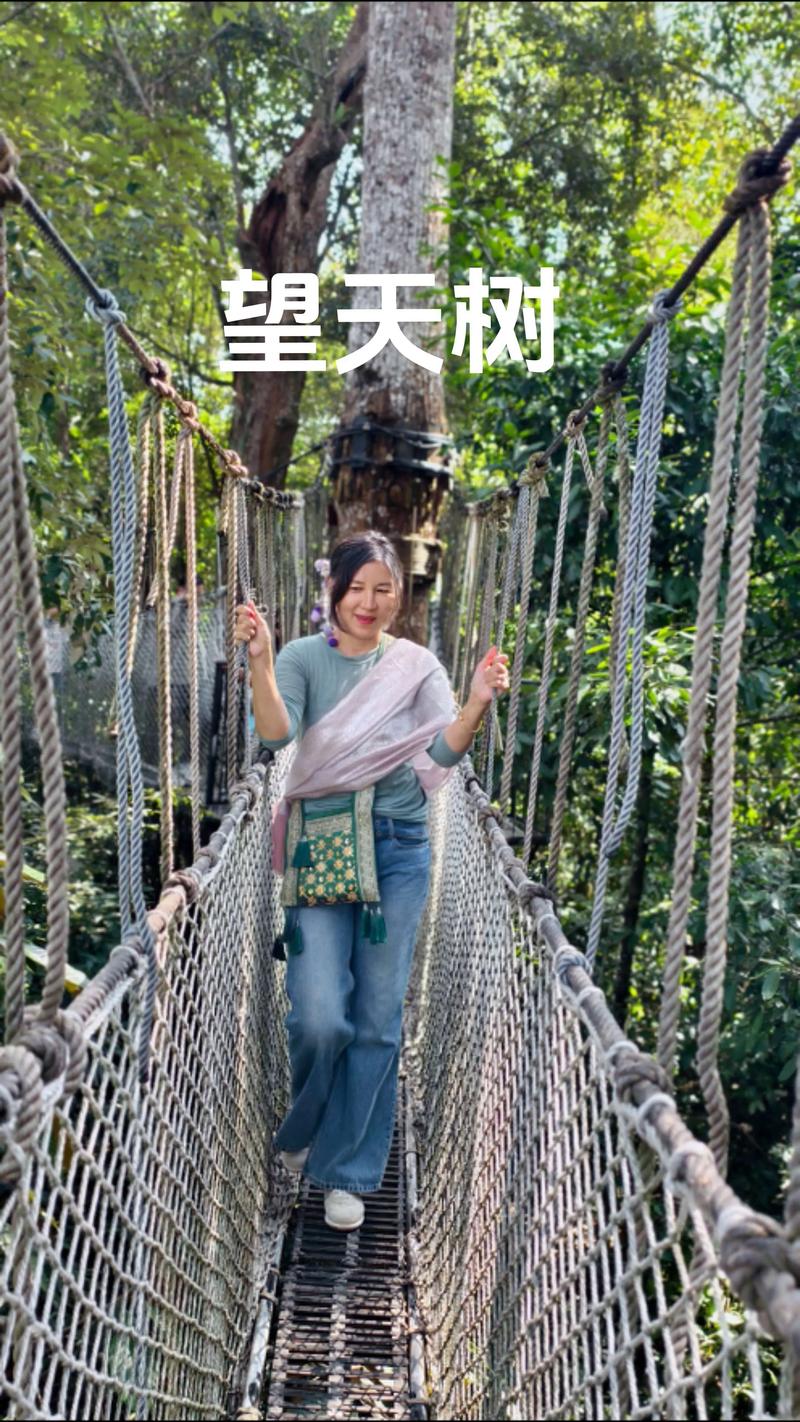 3. 实战日穿衣方案：从景洪市区到勐腊热带雨林