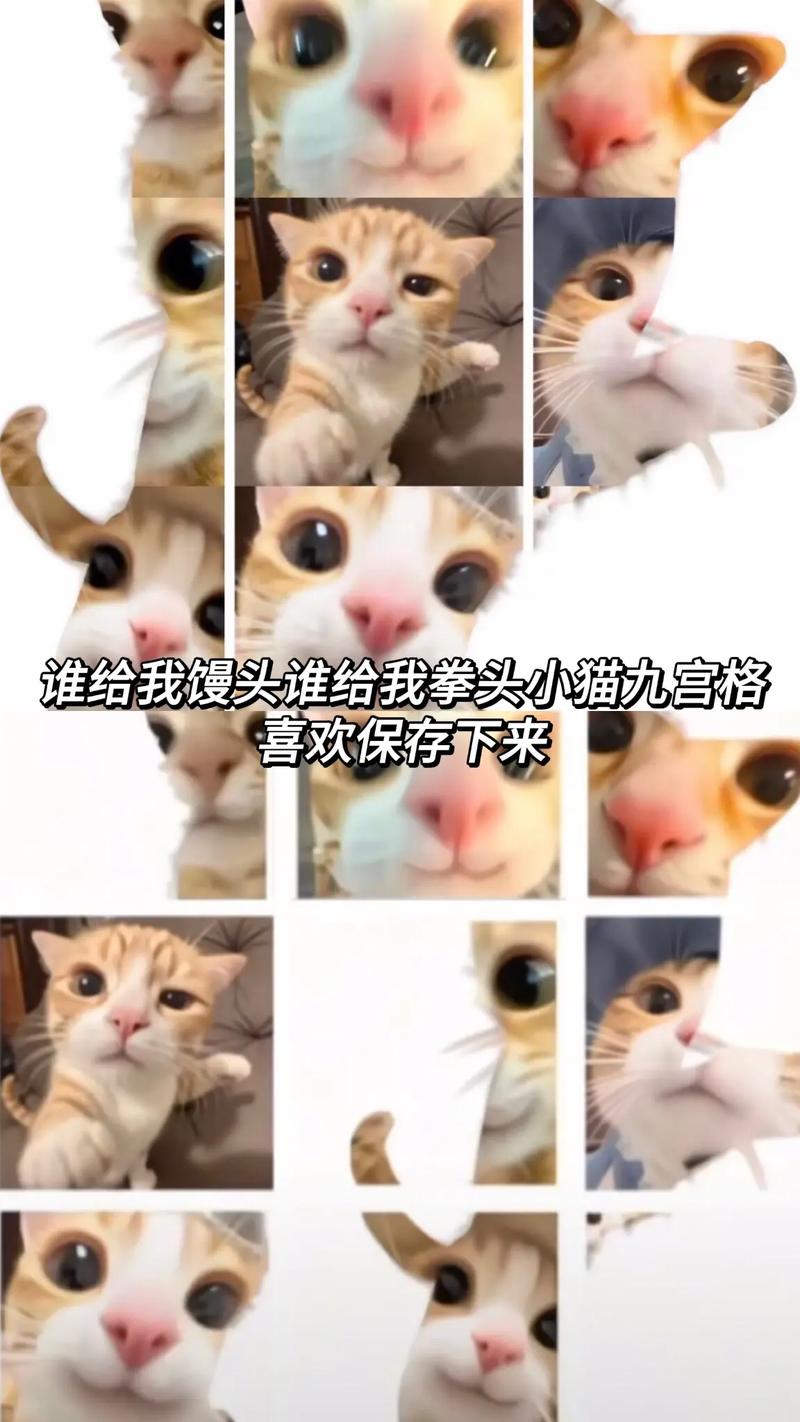 网络热梗爆红表情包九宫格