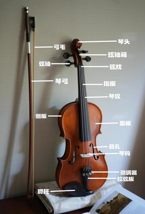 小提琴琴弦横截面缠绕结构示意图
