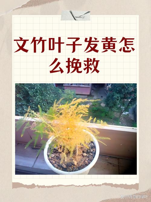 实操建议：怎么把红叶看“透”