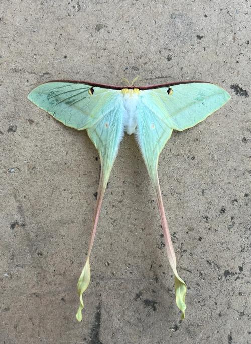 新手还会遇到哪些幺蛾子？