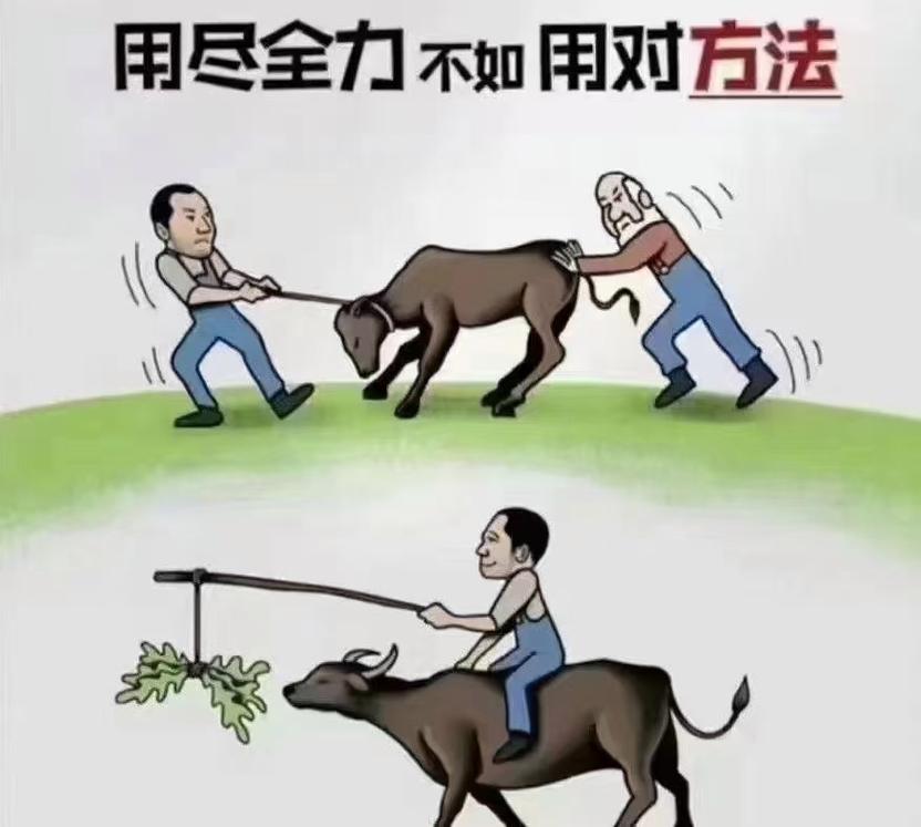 势能不对，努力白费