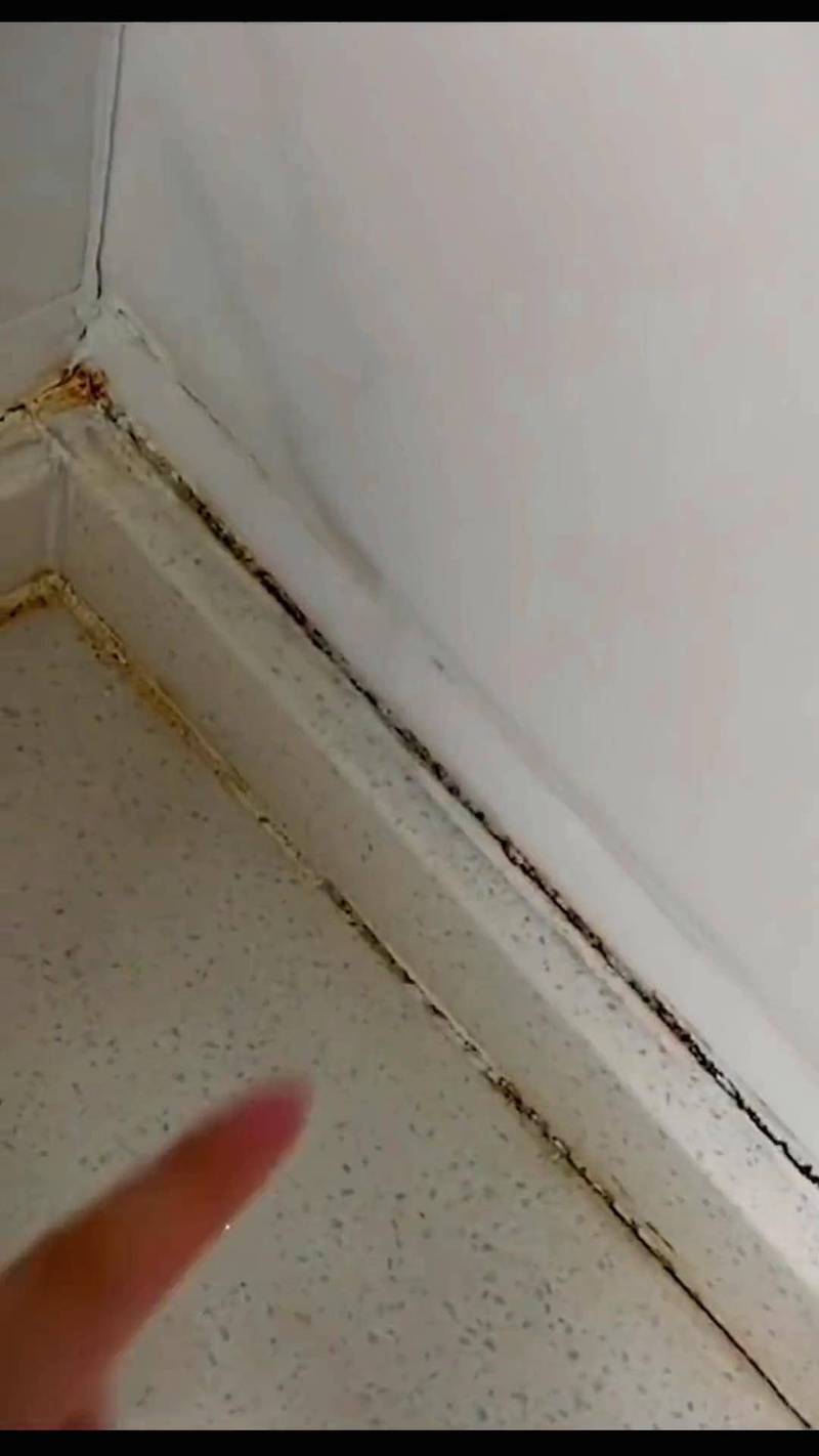家庭厨房转角积灰发霉实景图