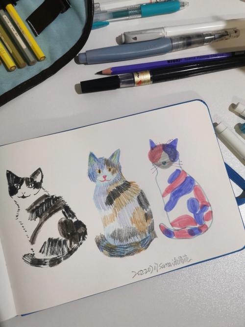 中学作文本里夹着的三花猫半张速写纸