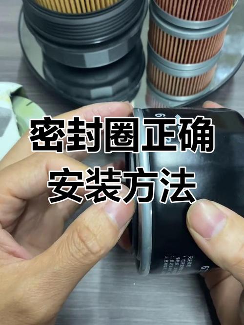 滤芯安装方向与密封圈位置示意图