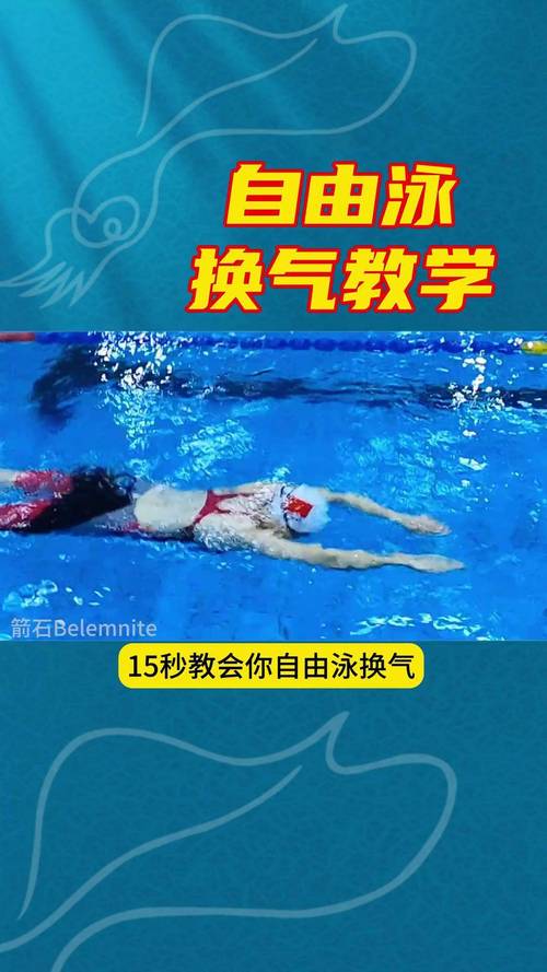 自由泳侧身换气动作步骤图解