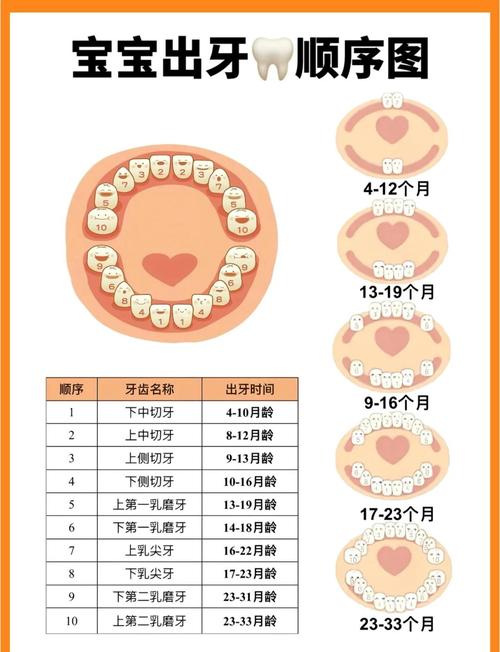分程度应对宝宝出牙不适,不用瞎熬也不用瞎喂药