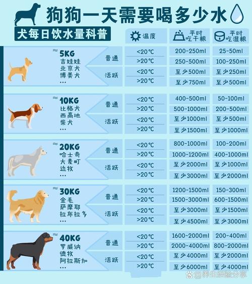 宠物每日健康饮水量计算参考表