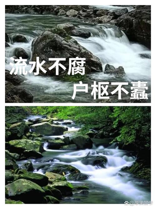 流水不腐，也流水不盈