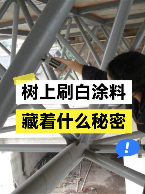 显大的秘密根本不是全刷白