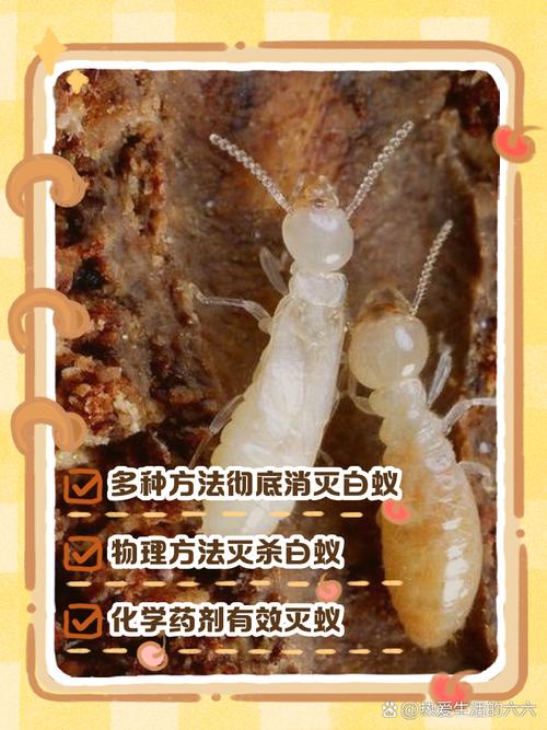 二、防白蚁的核心招数,其实就这几招