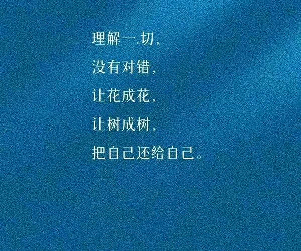 “理解”二字,重得让人不想提