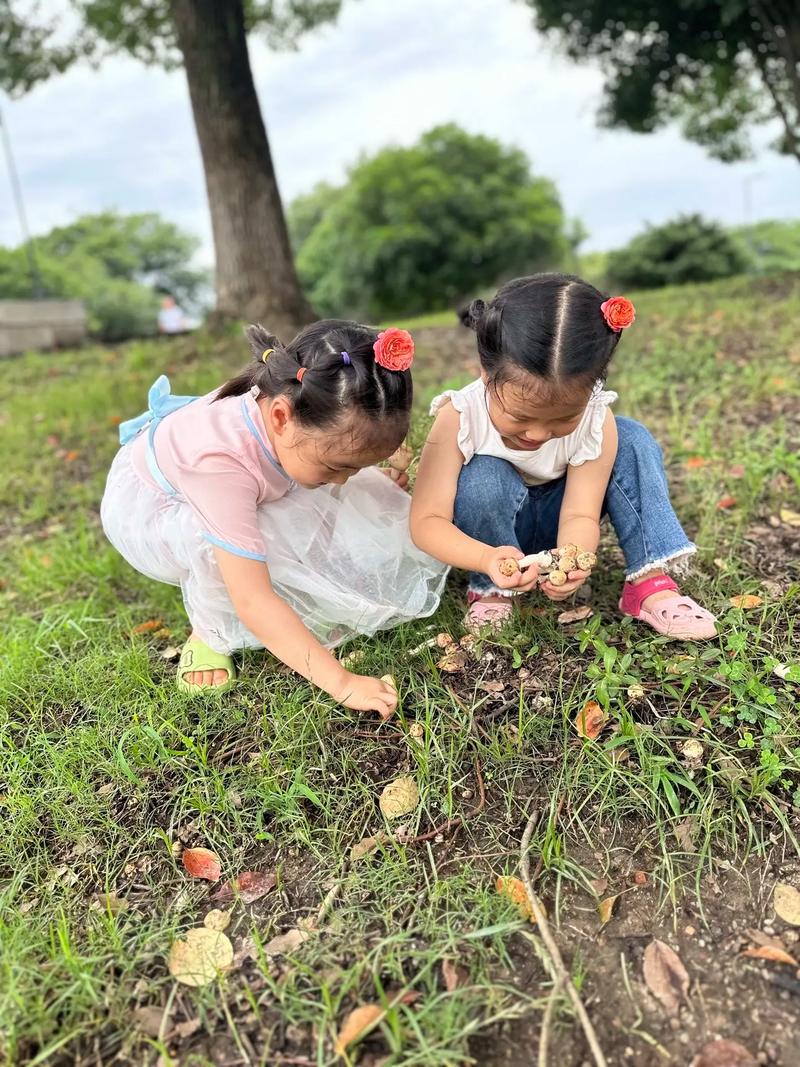 小学生在雨后校园树林里观察蘑菇生长