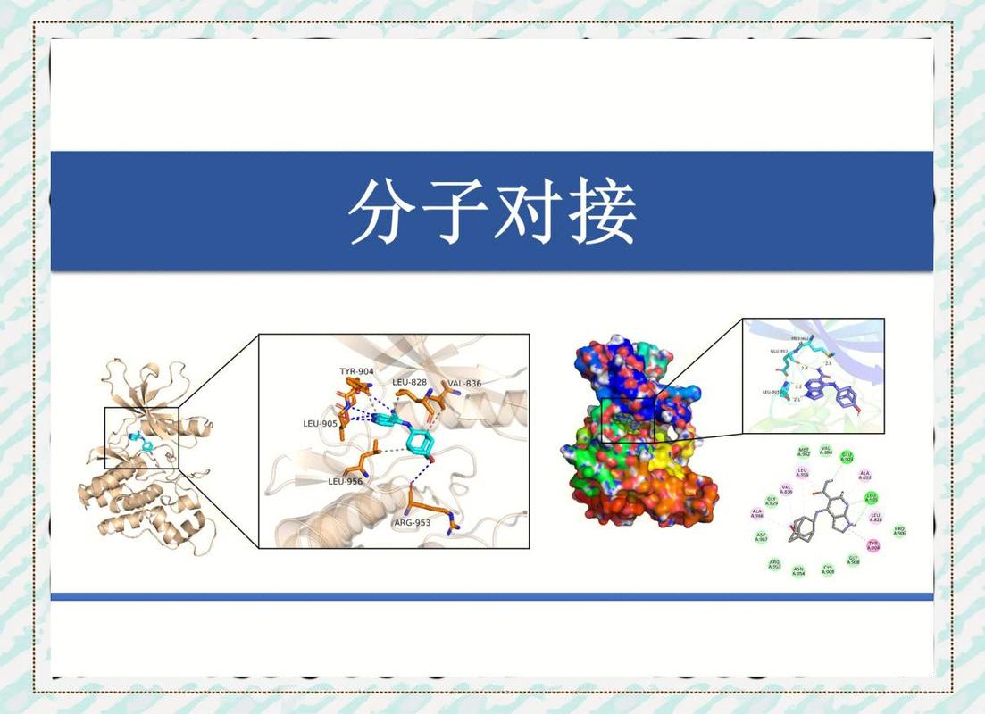 AI药物发现分子对接示意图
