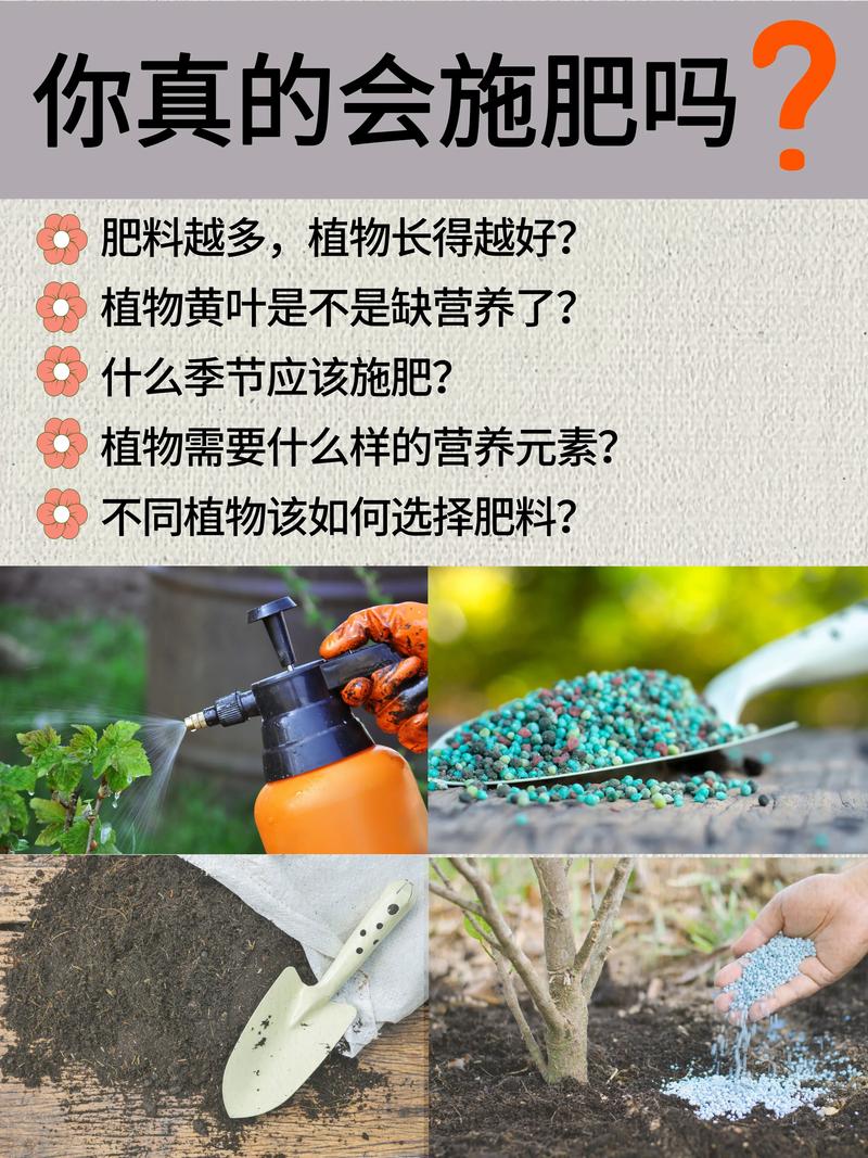 施肥？别好心办坏事