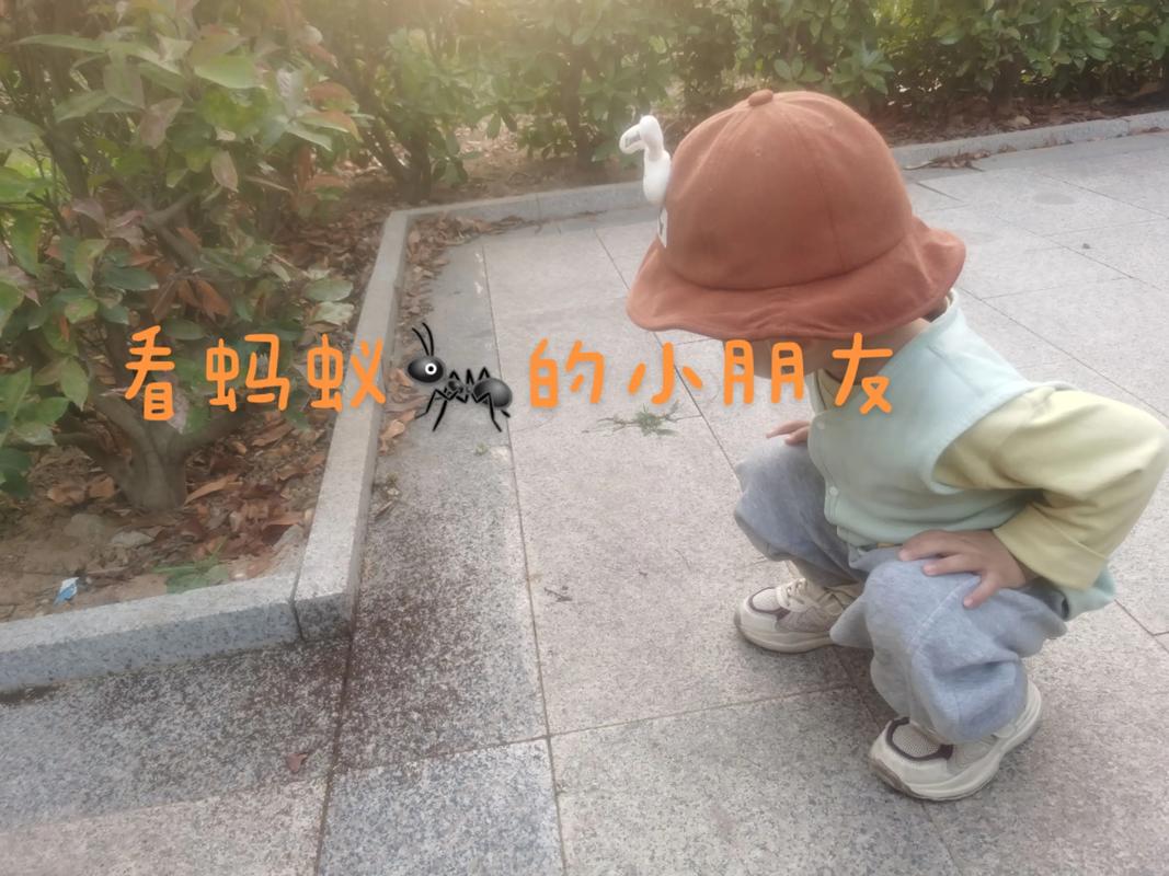 小孩蹲着观察蚂蚁洞口,表情专注特写