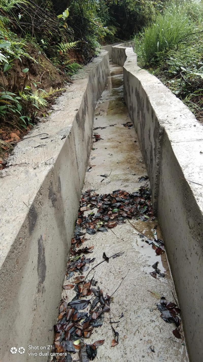 海源寺后山废弃水渠