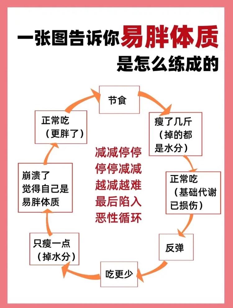节食减肥反弹循环图
