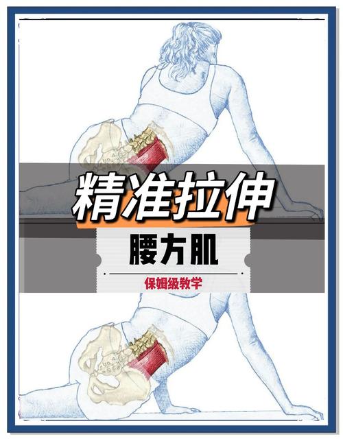 驾车间隙车外腰部拉伸动作示范图